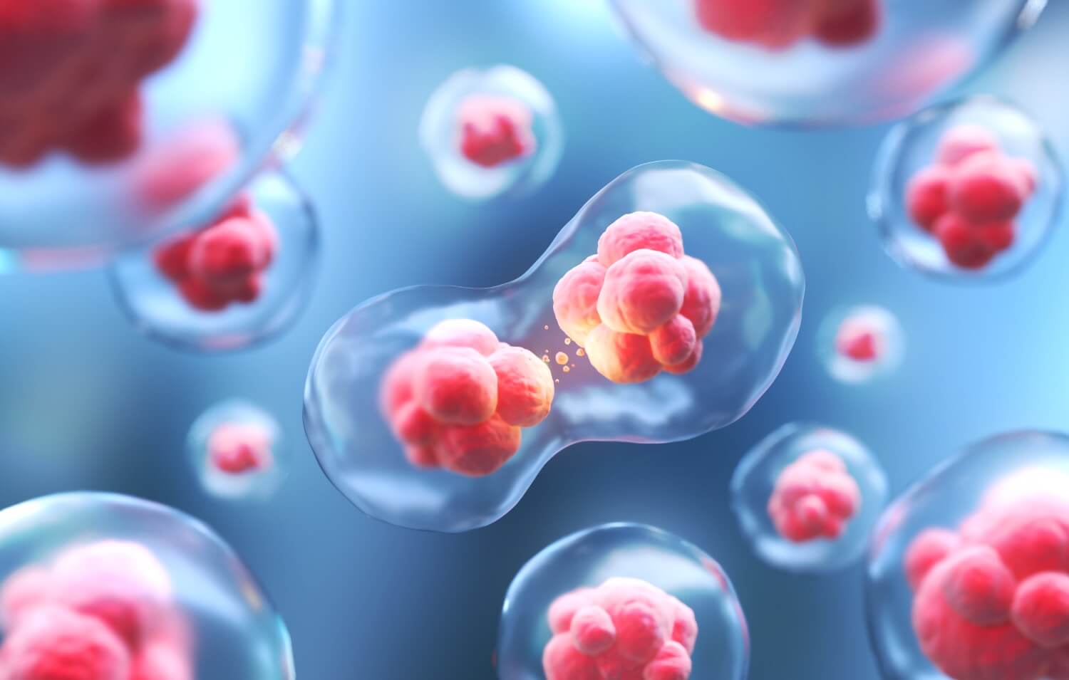 Lee más sobre el artículo Exosomas Capilares: La Revolución de la Medicina Regenerativa en la salud del cabello